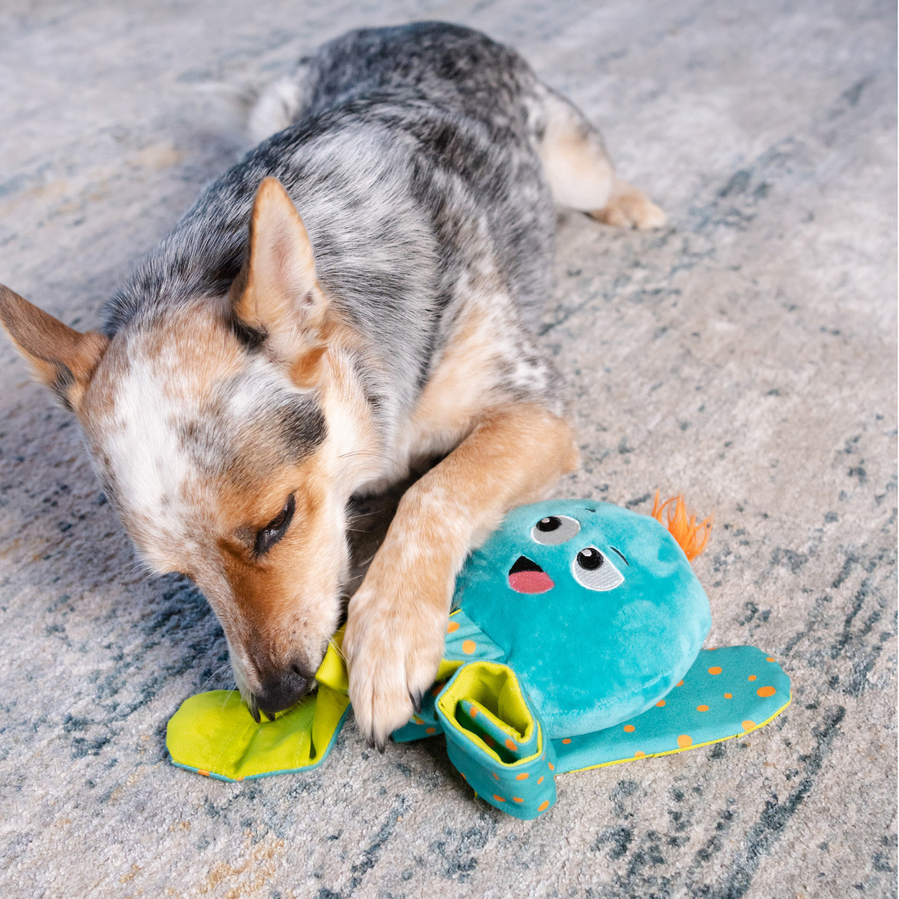 Silly Legz Interactive Plush Dog Puzzle, Blue - Image 5