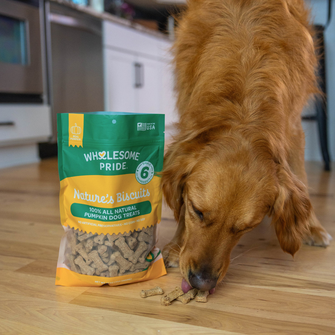 Wholesome Pride Nature's Biscuits Mini Dog Treats, Pumpkin, 16oz - Image 4