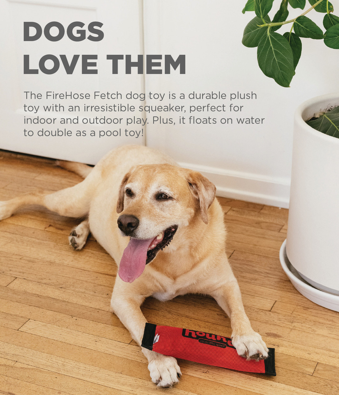 FireHose Fetch Dog Toy - Image 2