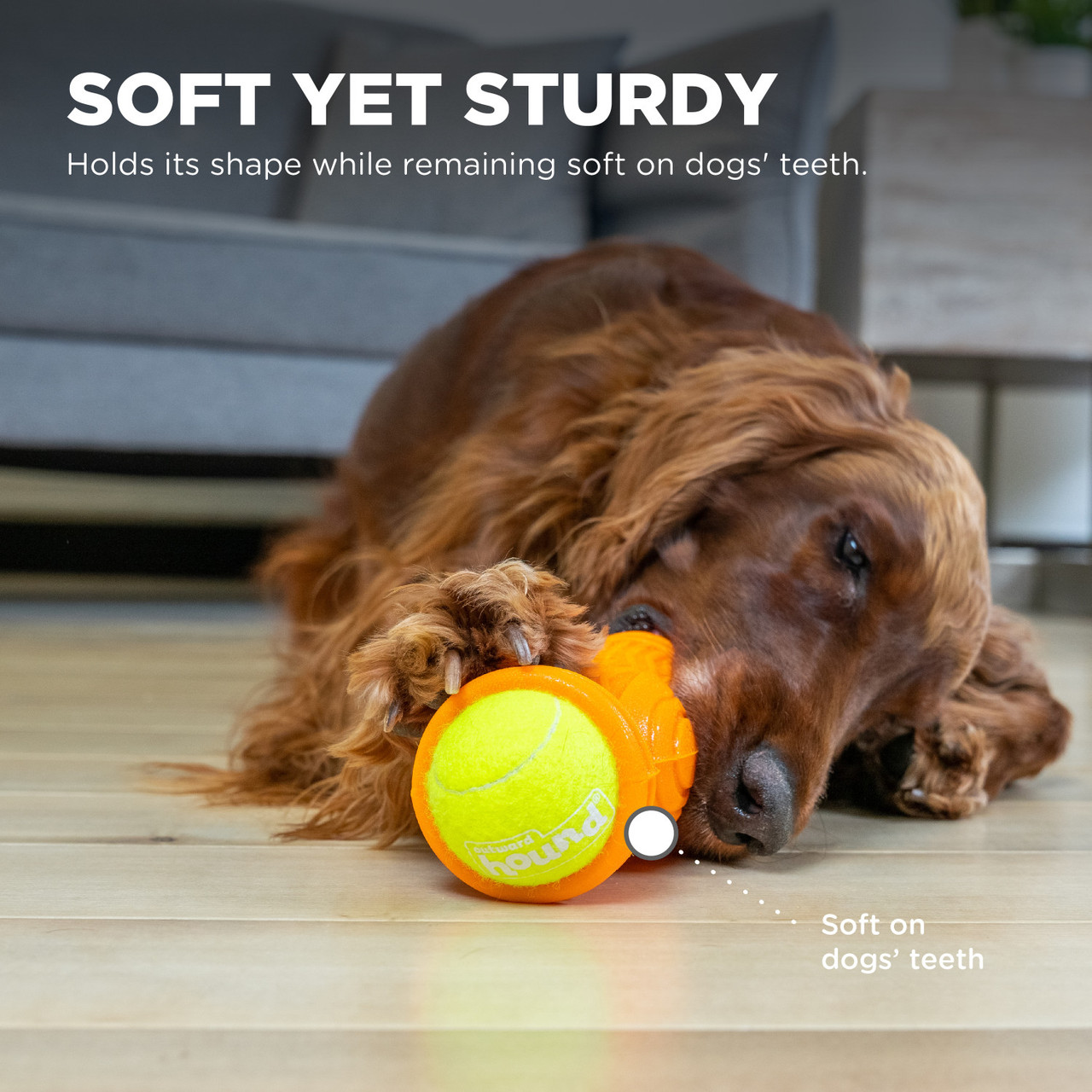 Tennis & Treat, Orange - Image 3