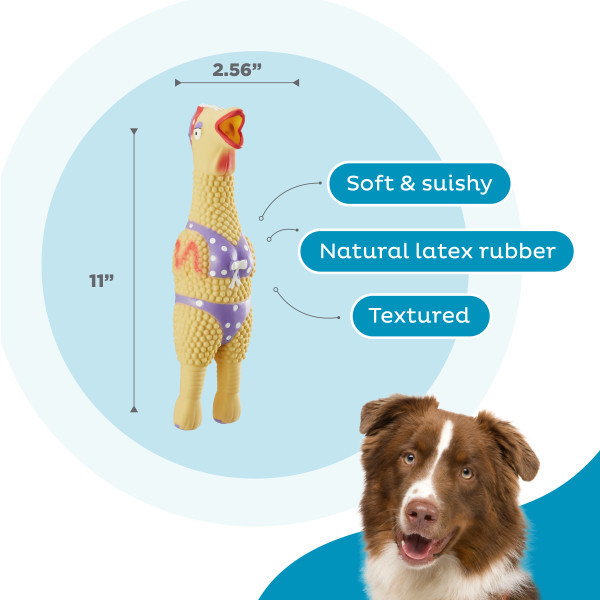 Squawkers Henrietta Tan LG - Image 3
