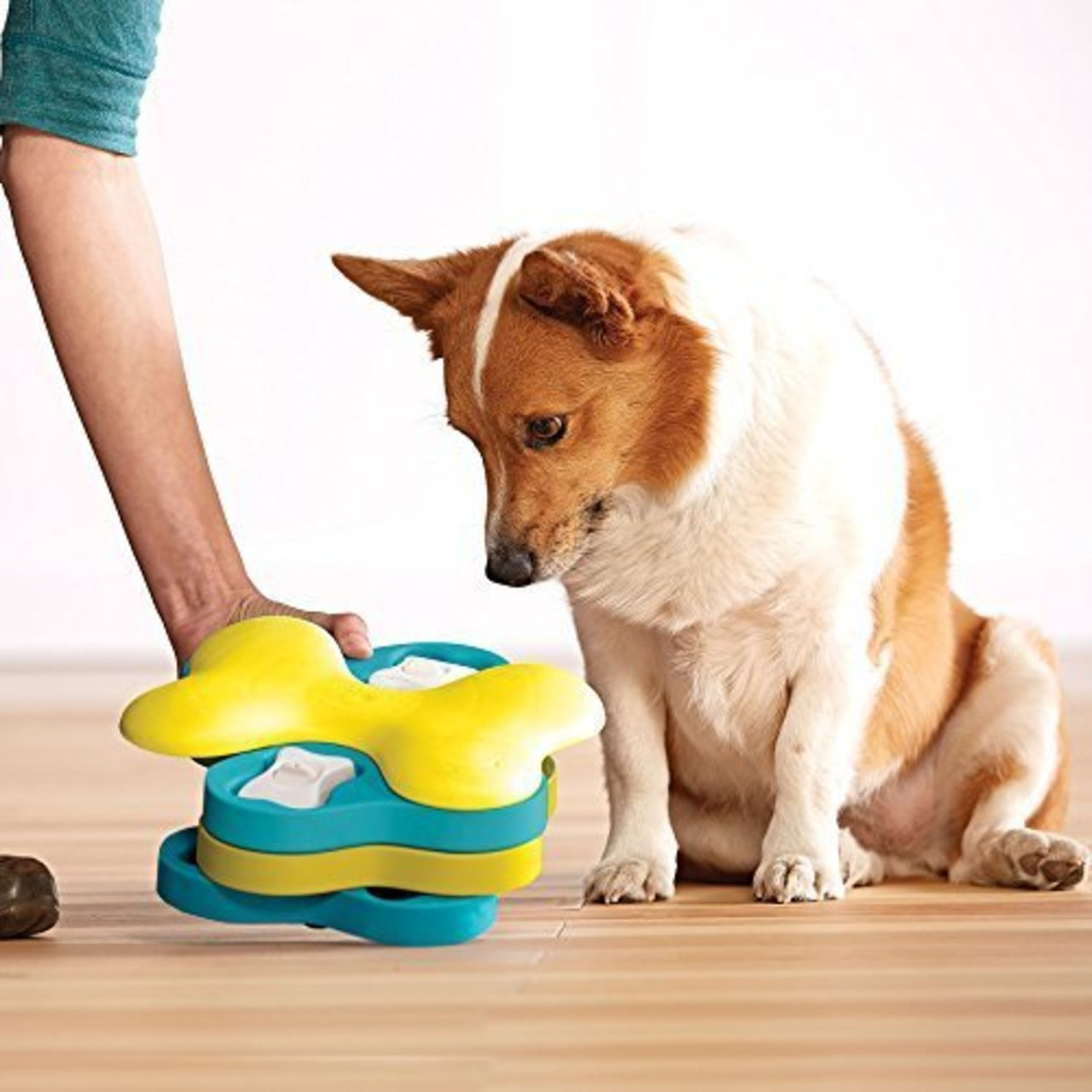 Dog Tornado Interactive Treat Puzzle Dog Toy, Blue - Image 6