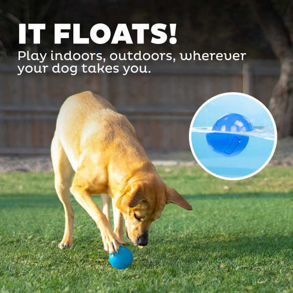 Orbee-Tuff Squeak Ball Dog Toy - Image 5