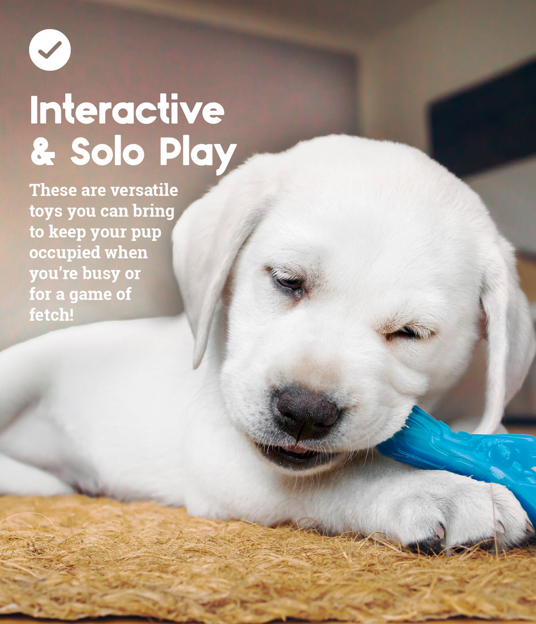 Orka Puppy Dental Chew Toys - 3 Pack, Multi - Image 6