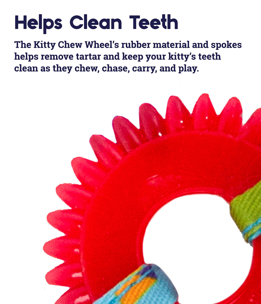Dental Kitty Chew Wheel Cat Toy, Multi - Image 3