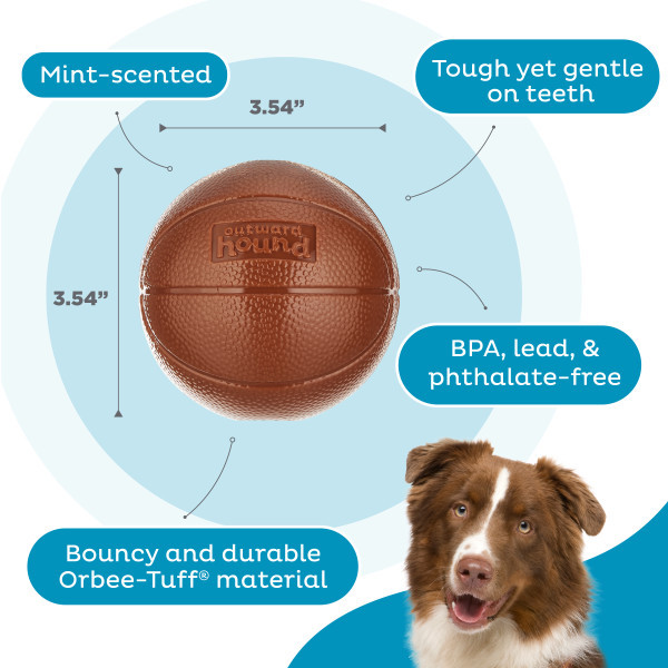 Sport Ballz Basketball, Brown - Image 3
