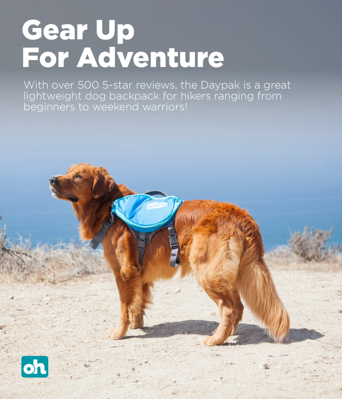 DayPak Saddleback Dog Backpack - Image 3