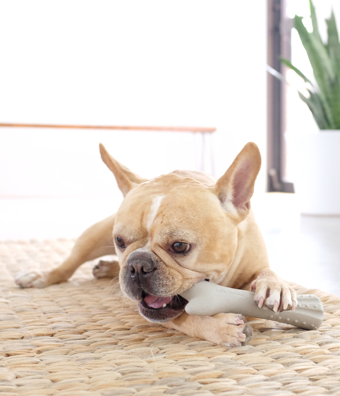 Deerhorn Antler Alternative Dog Chew Toy - Image 13