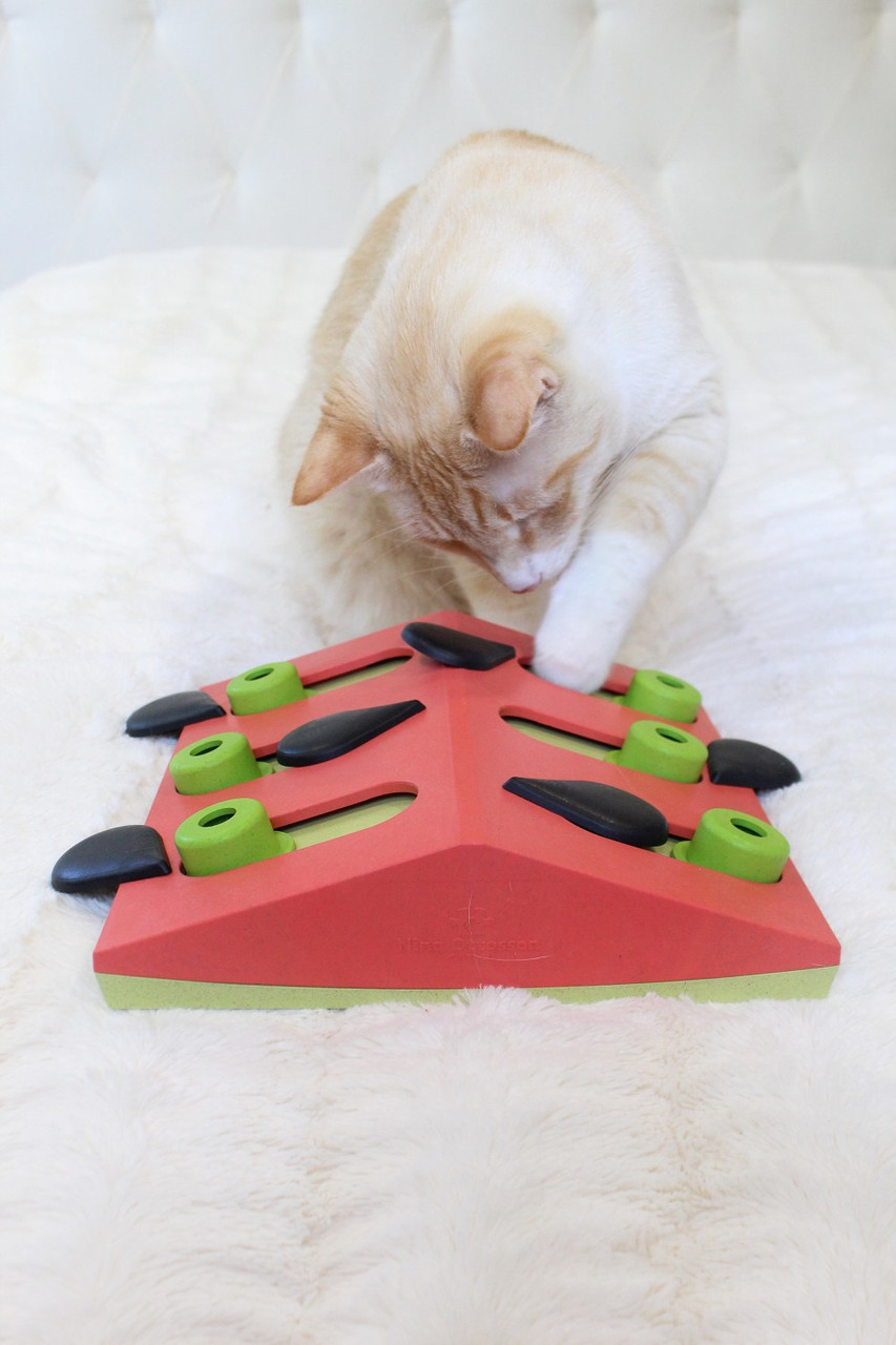 Melon Madness Puzzle & Play Cat Game, Pink - Image 8