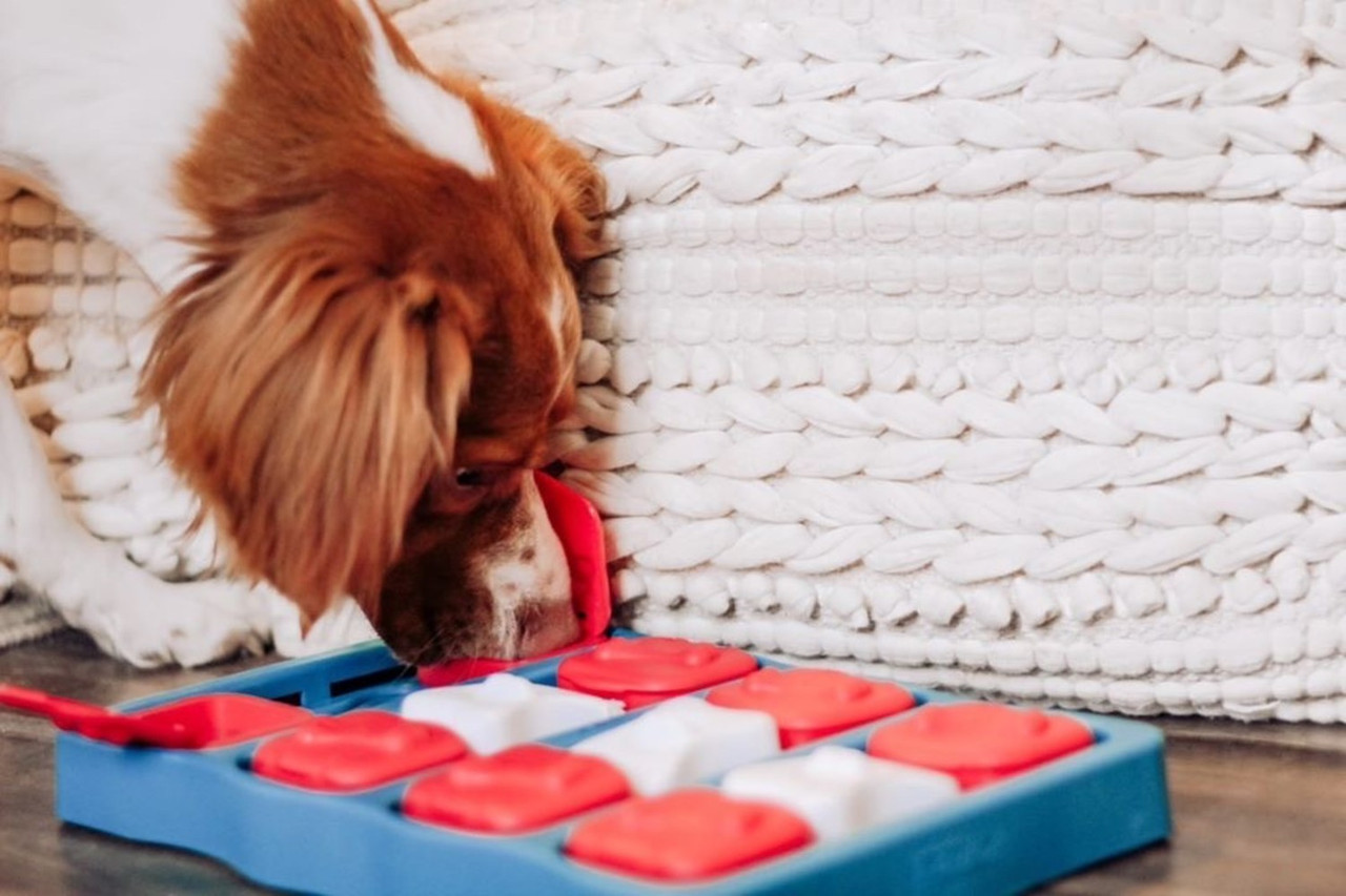 Dog Brick Interactive Treat Puzzle Dog Toy, Blue - Image 8