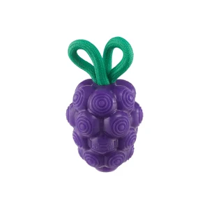 Dental Grapes Dental Chew Toy and Interactive Treat Stuffer