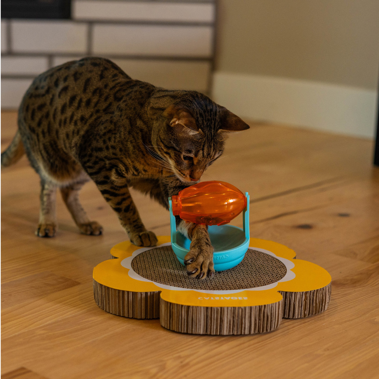 Scratch Topper Treat Org - Image 5