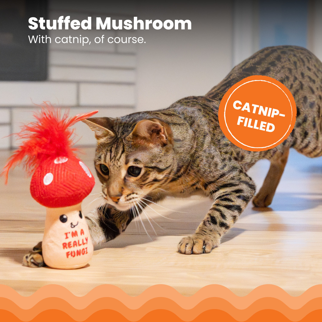 A Really Fungi Mushroom Kicker Catnip Toy and Dental Toy for Cats - Image 3