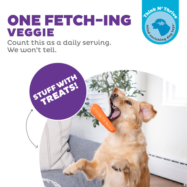 Orbee-Tuff Carrot Treat-Dispensing Dog Chew Toy, Orange - Image 2