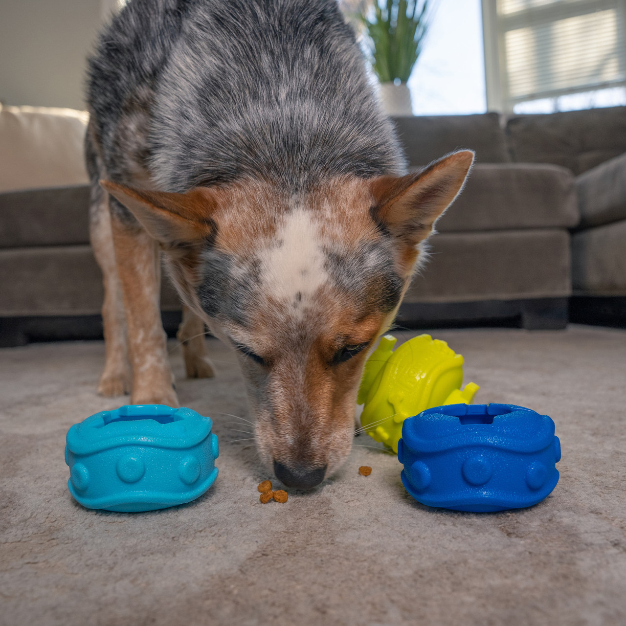 Treat Locking Discs Dog Treat Dispenser, Multi - Image 6