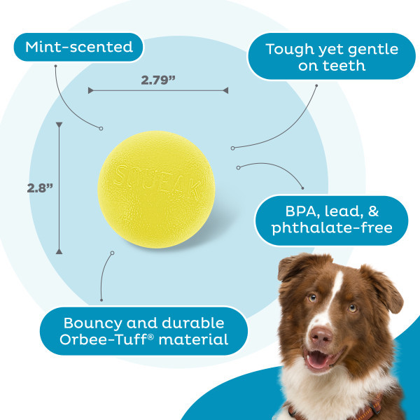 Orbee-Tuff Squeak Ball Dog Toy, Yellow - Image 3