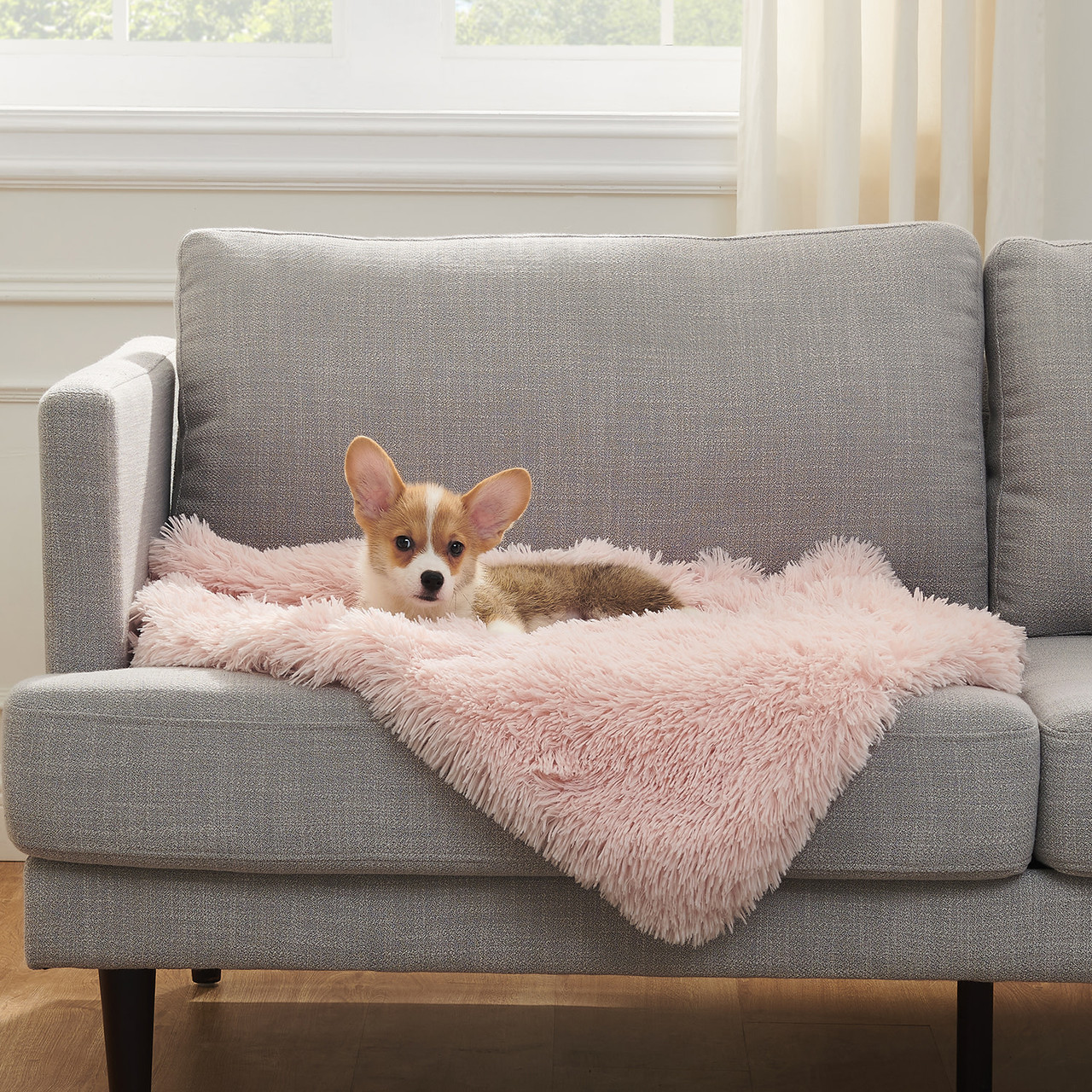 Shag Pet Throw Blanket, 30x40 - Image 11