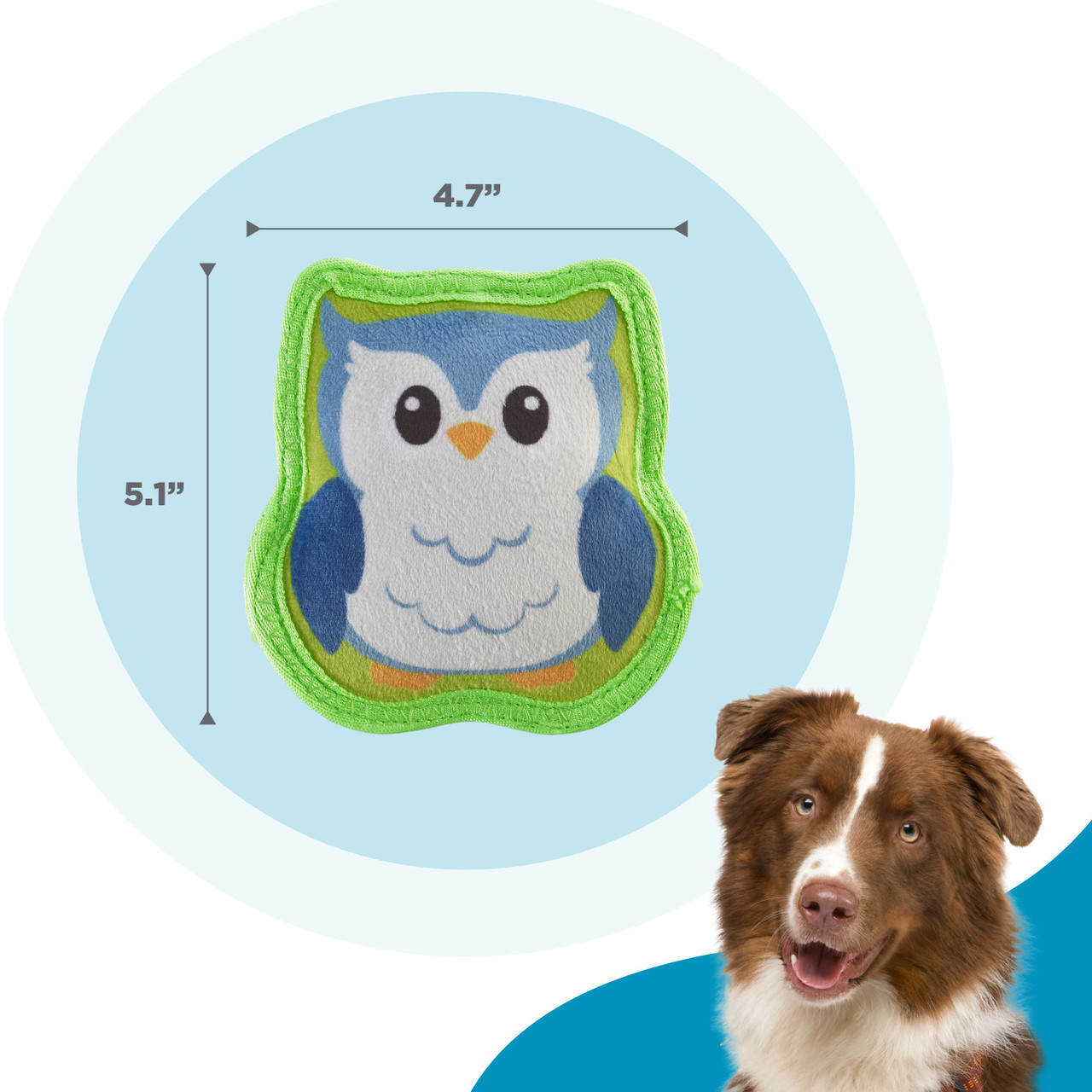 TS Owl 2P Mlt SM - Image 5