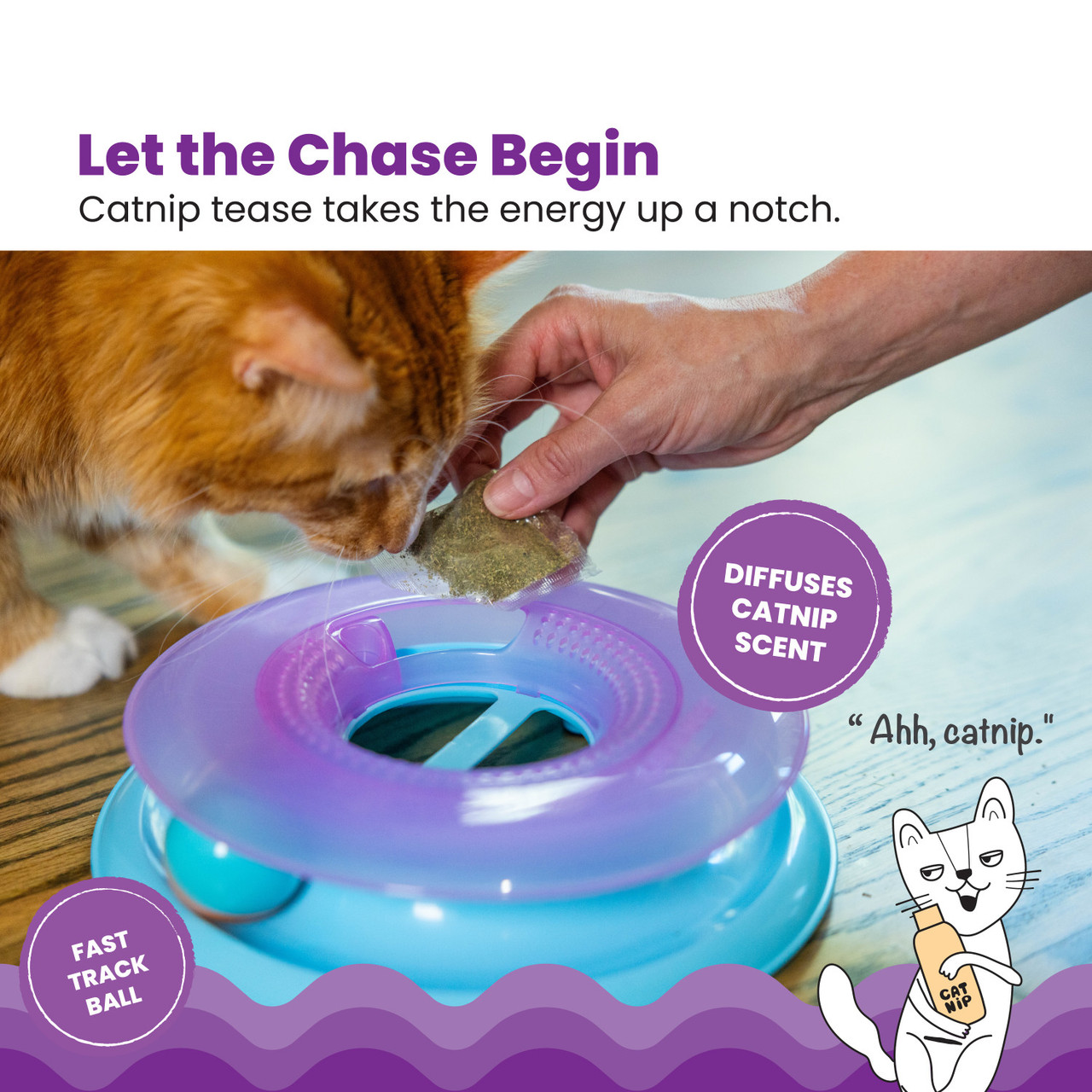 Race N' Chase Track Interactive Cat Ball Track Toy with Catnip Diffuser, Purple - Image 4