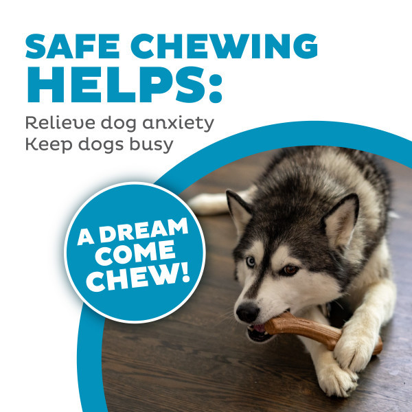 Super Dogwood Dog Chew Toy - Image 4