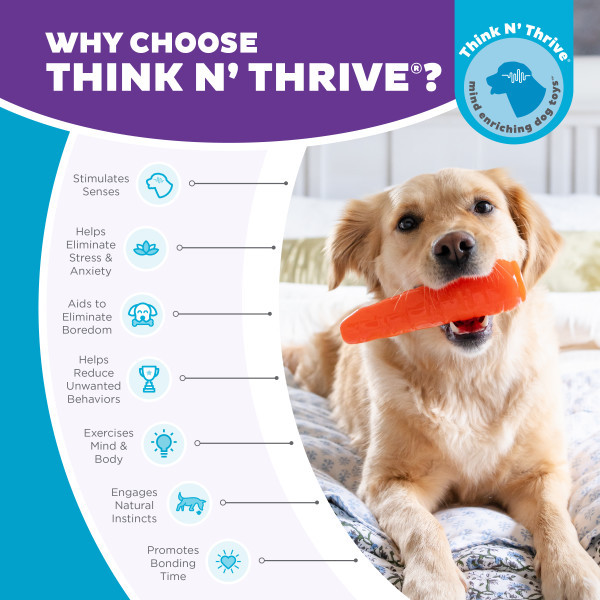 Orbee-Tuff Carrot Treat-Dispensing Dog Chew Toy, Orange - Image 6