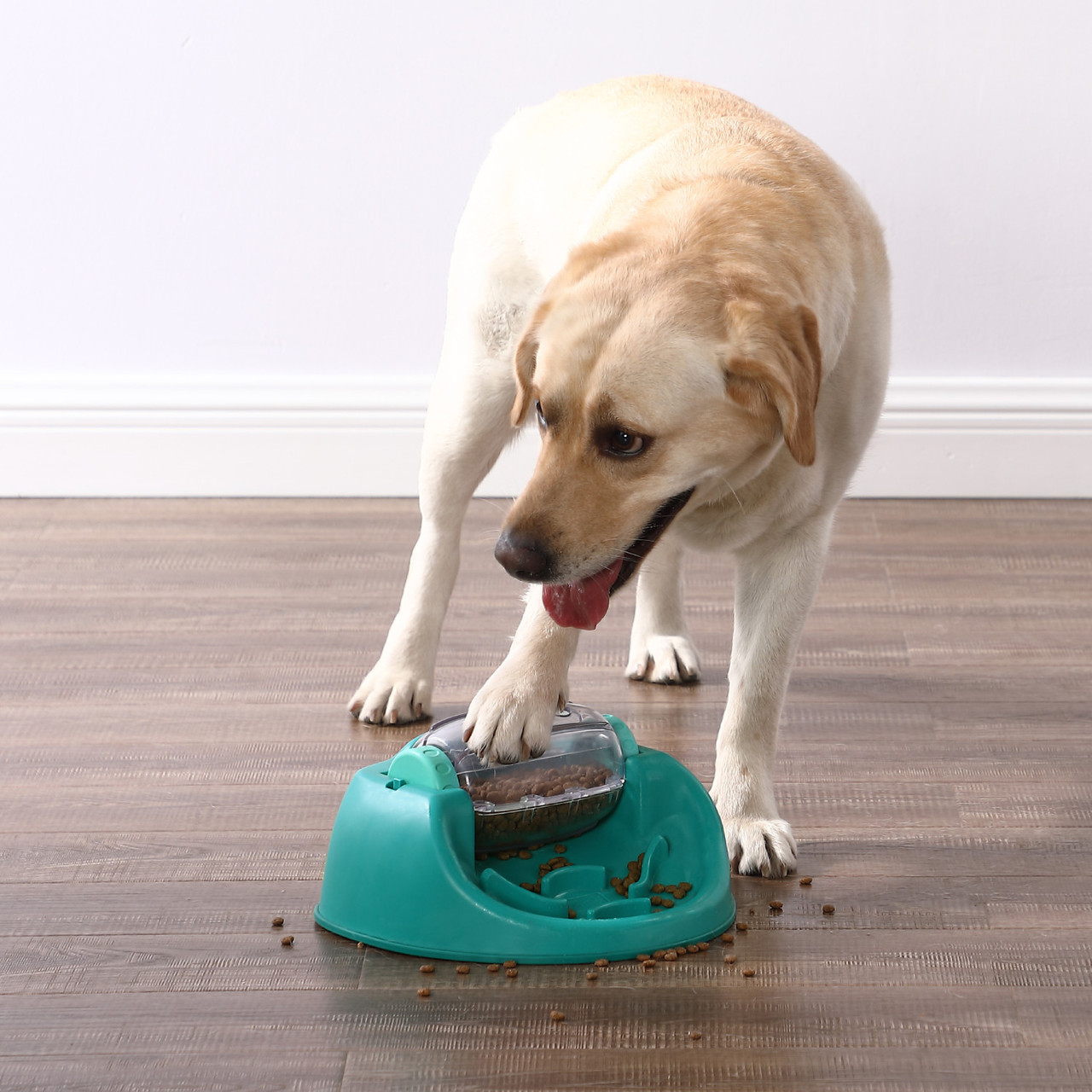 Dog Spin N' Eat Puzzle, Green - Image 7