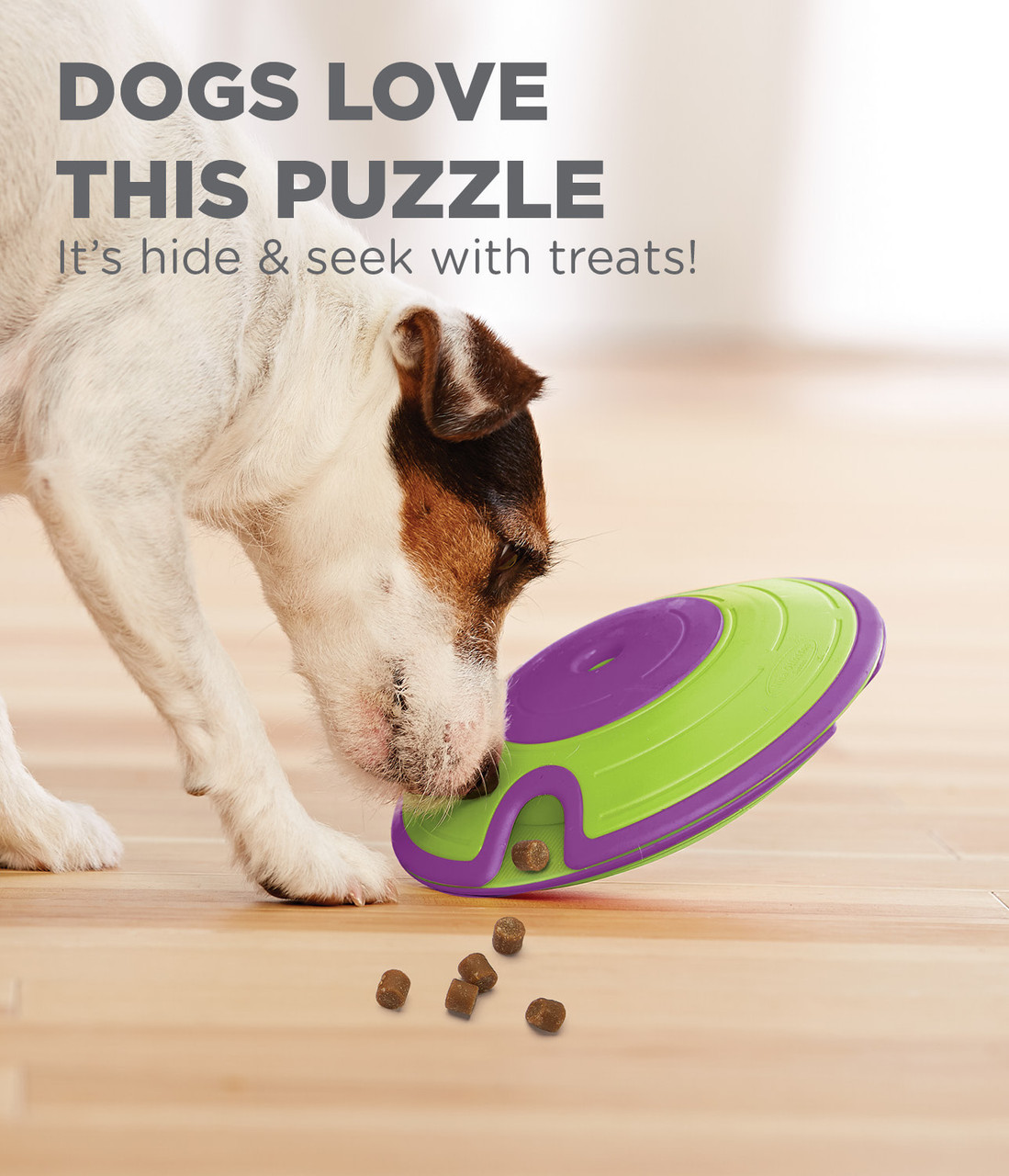Treat Maze Interactive Puzzle Dog Toy, Green - Image 5