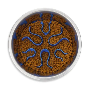 Fun Feeder Stainless Steel Slow Feeder Dog Bowl