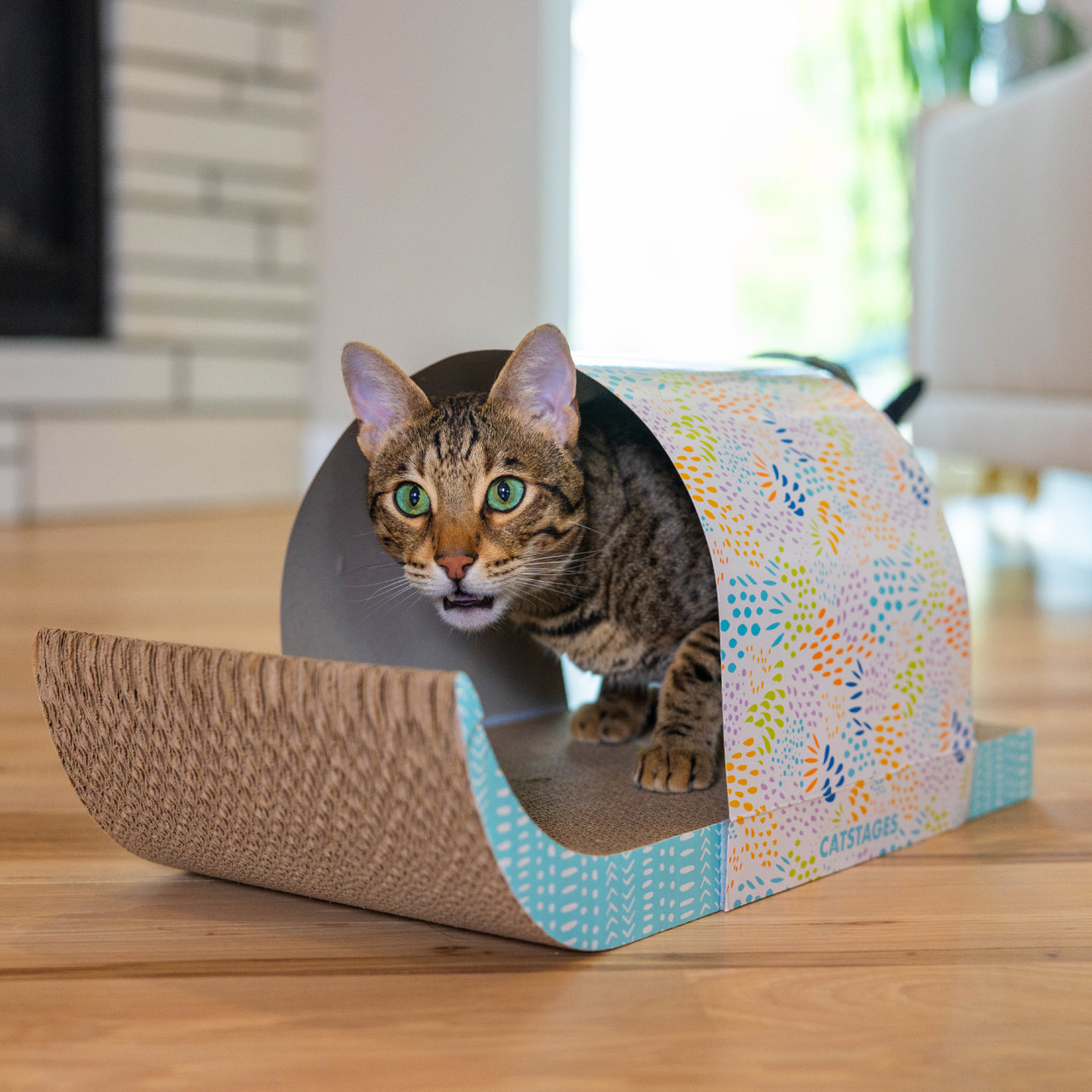 Cat Tunnel Scratcher with Feather Spring Toy and Removable Tunnel, Mlt - Image 5