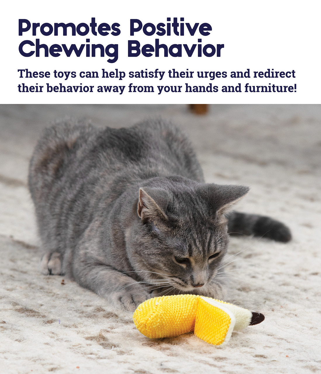 Dental Banana Cat Chew Toy, Yellow - Image 4