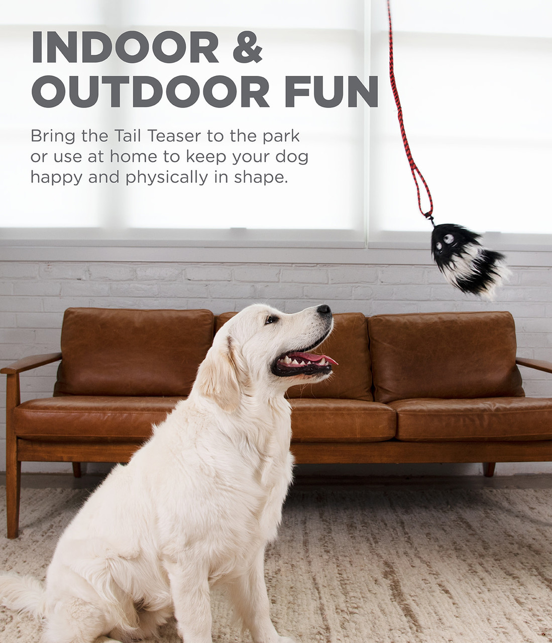 Tail Teaser Dog Wand Lure Toy - Image 10