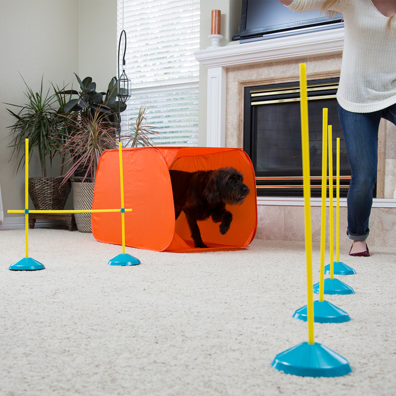 Zip & Zoom Indoor Dog Agility Training Kit for Dogs, Multi - Image 5