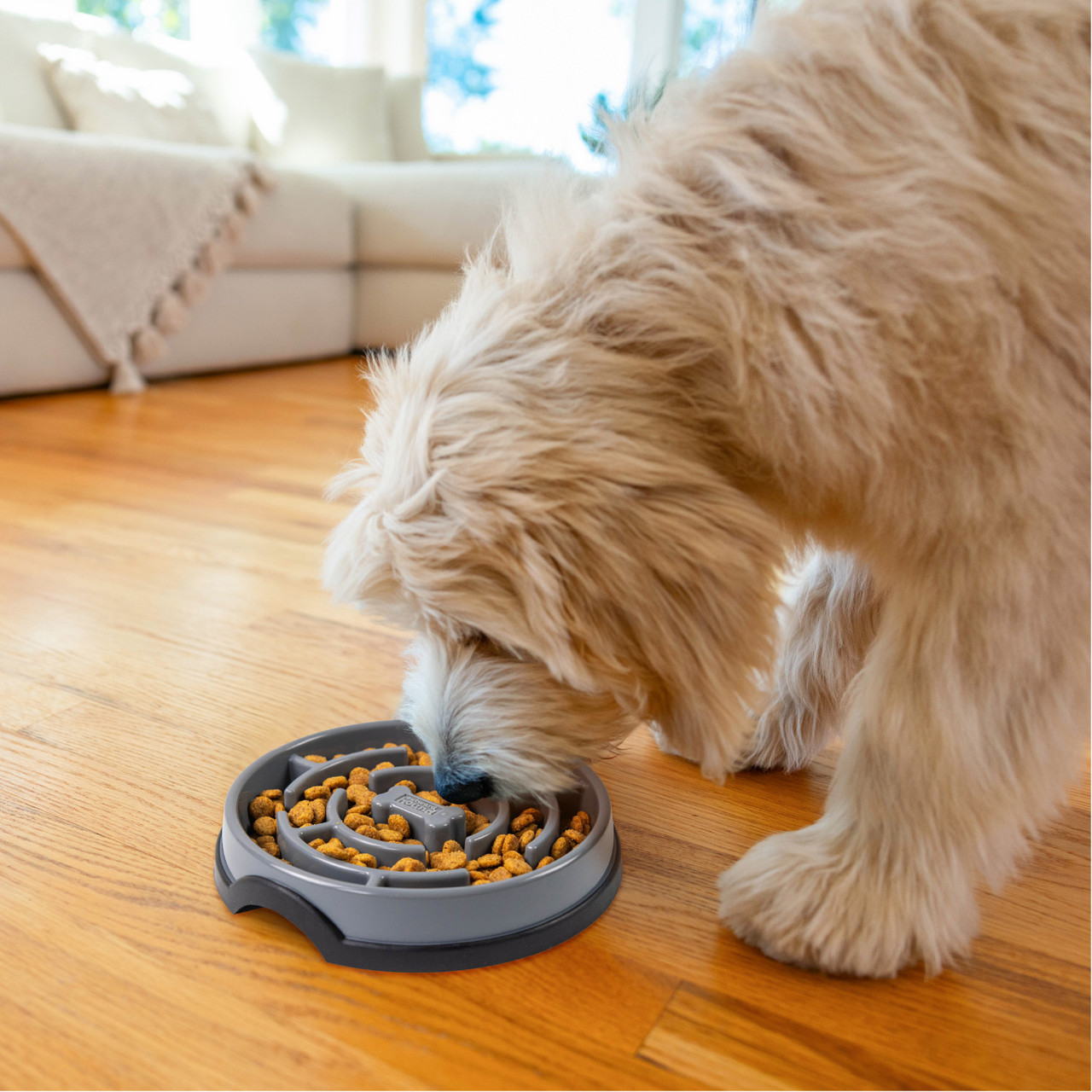 Fun Feeder Maze Gry - Image 6