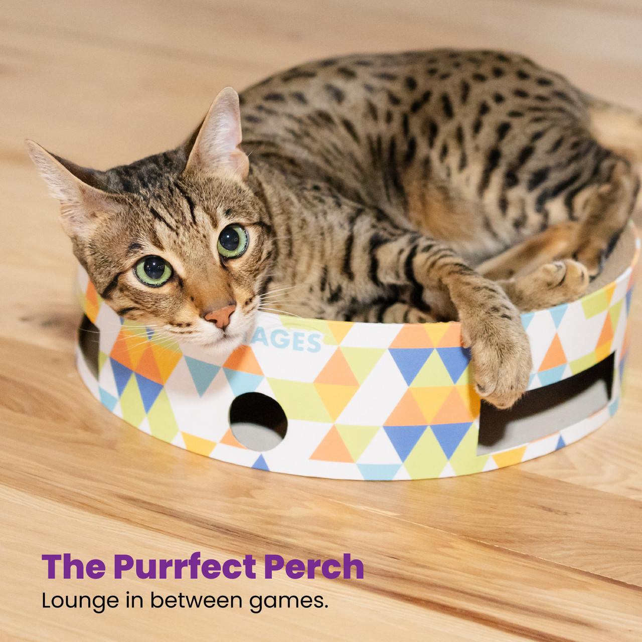 Bowl Track Scratcher Cat Ball Track, Multi - Image 6