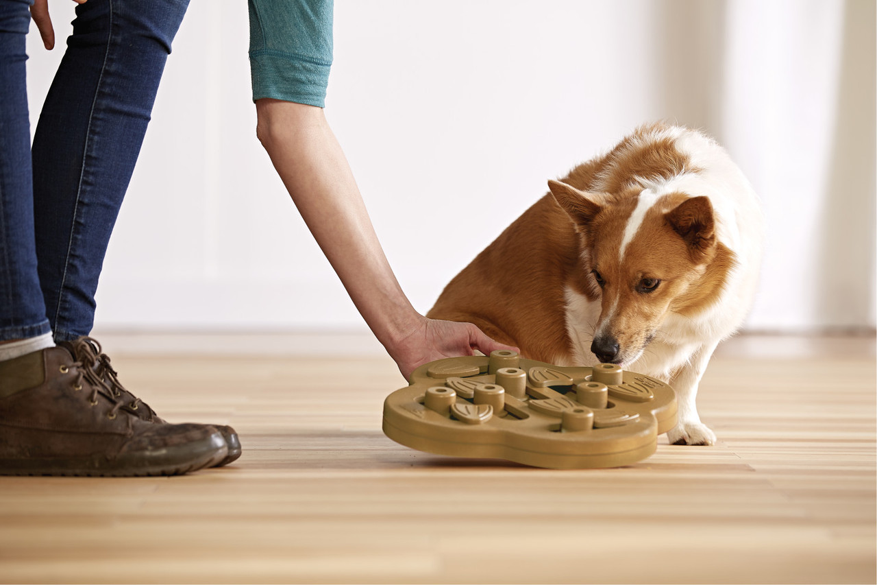 Dog Hide N' Slide Interactive Treat Puzzle Dog Toy, Tan - Image 6