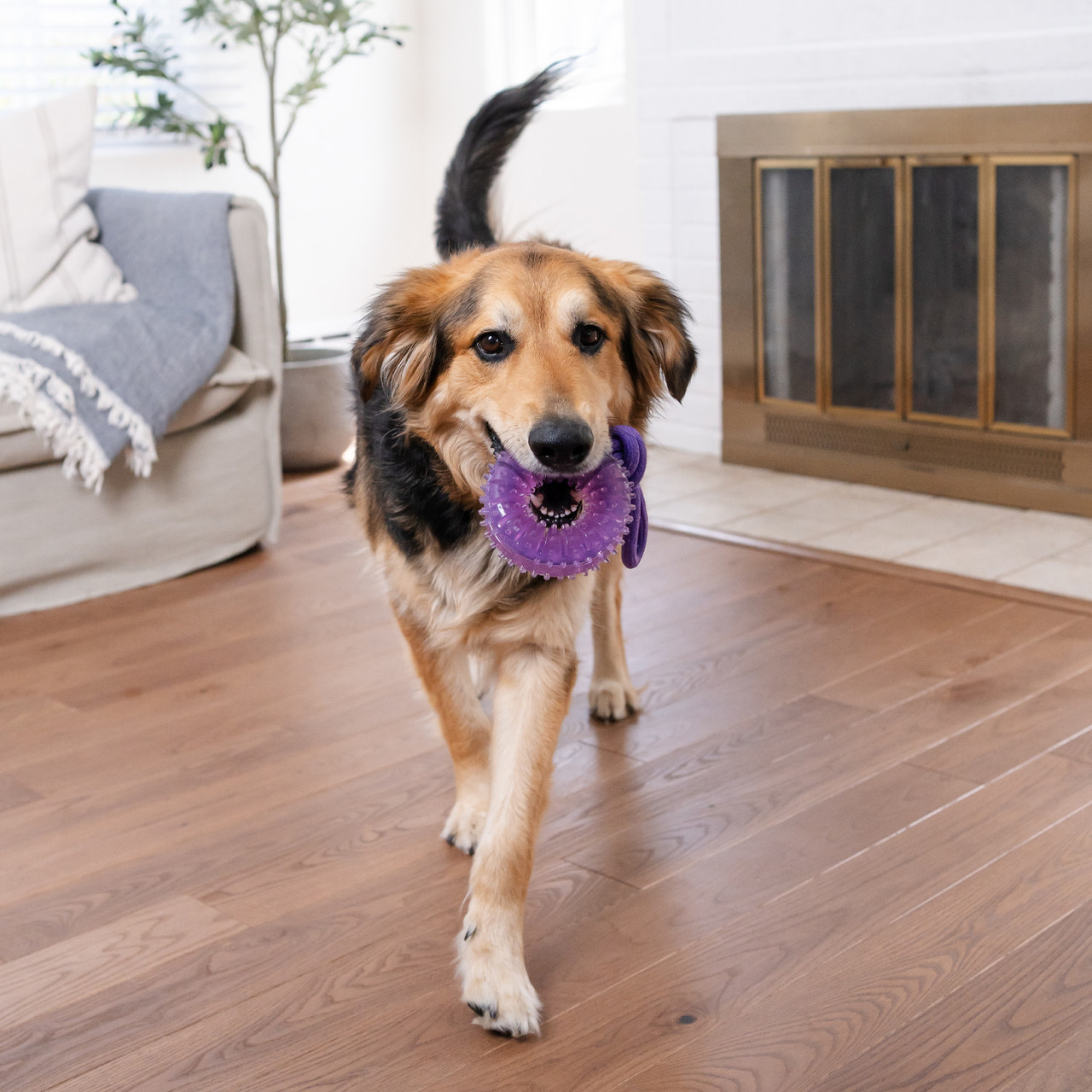 2-in-1 Dental Chew Wheel Dog Chew Toy and Tug Toy, Purple - Image 4