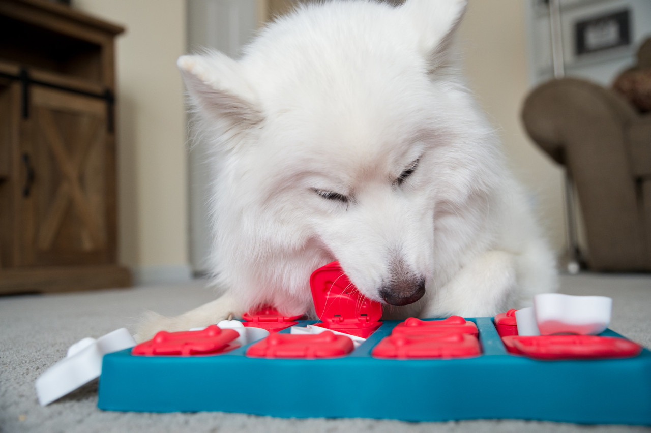Dog Brick Interactive Treat Puzzle Dog Toy, Blue - Image 7