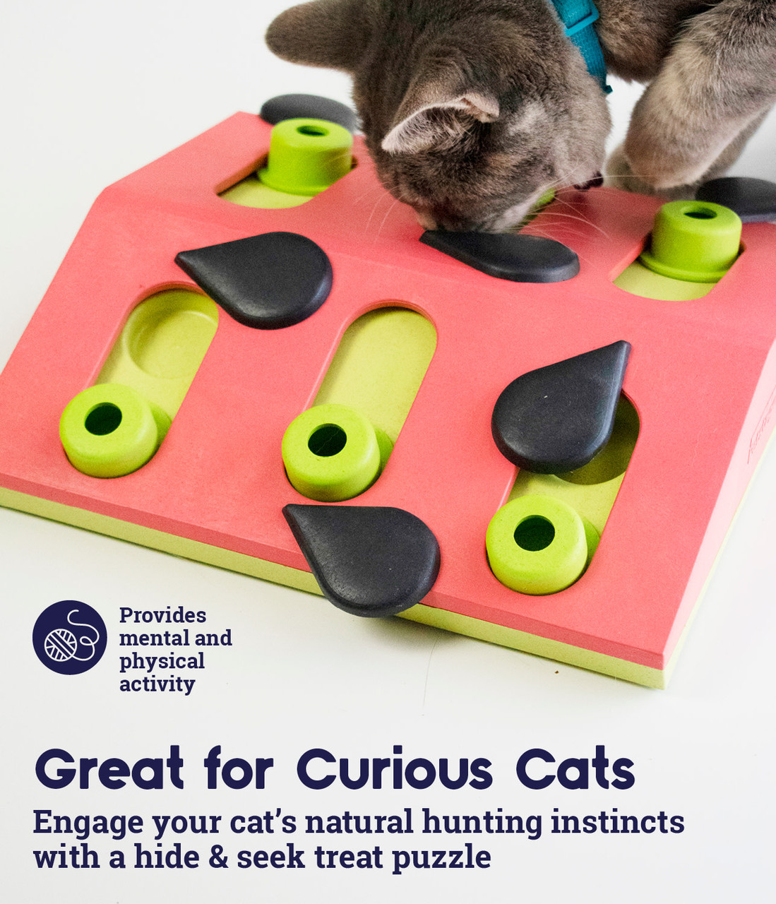 Melon Madness Puzzle & Play Cat Game, Pink - Image 3