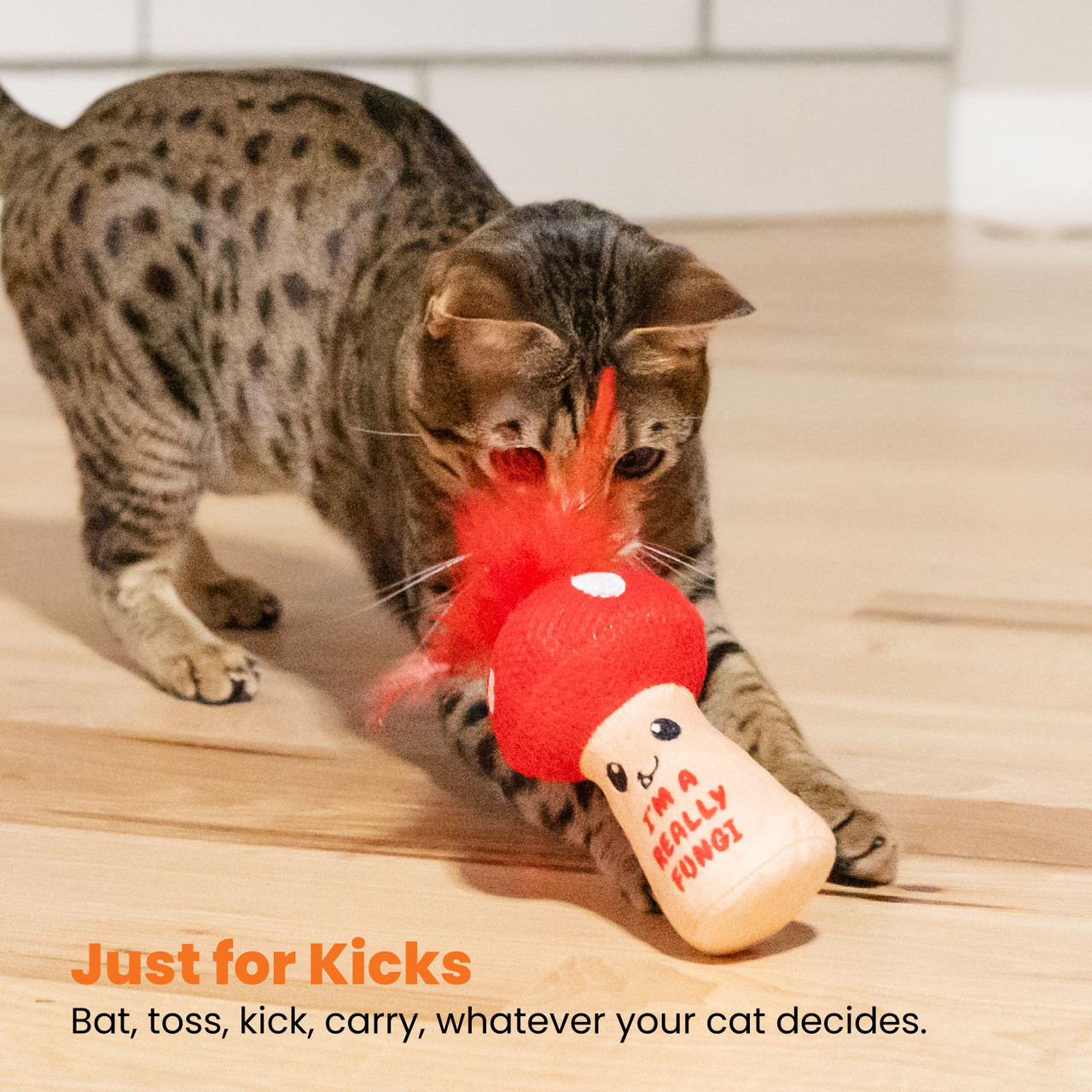 A Really Fungi Mushroom Kicker Catnip Toy and Dental Toy for Cats - Image 6