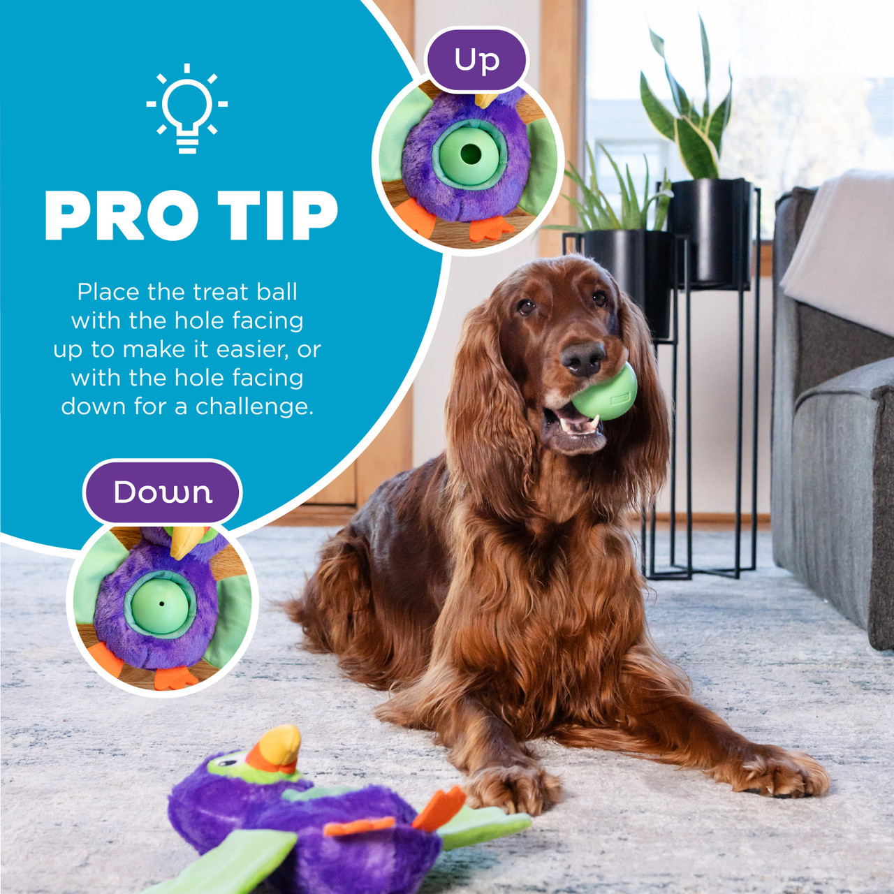 Hide-Ablez Interactive Plush Dog Puzzle with Treat Ball - Image 5