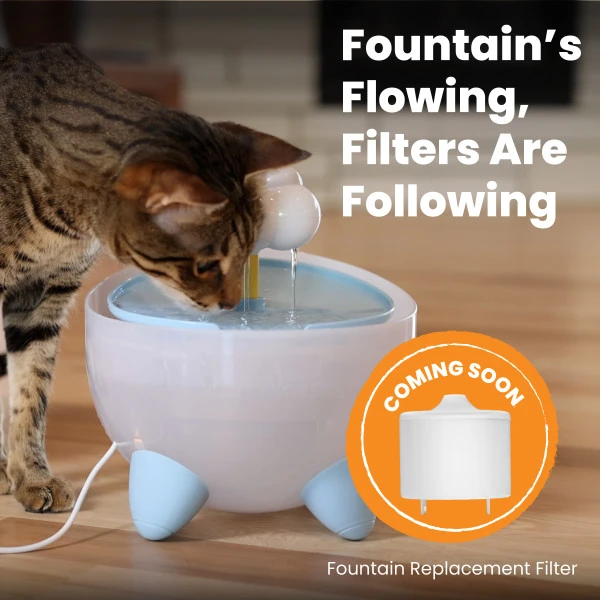 Purrfect Rain Fountain - Image 7