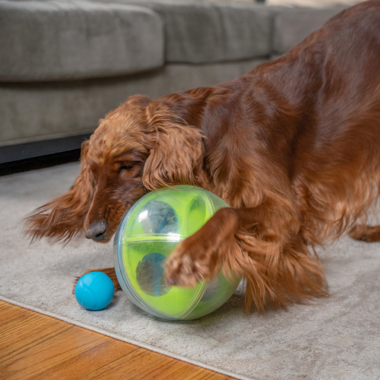 A-Maze Ball Dog Puzzle Treat Ball Dog Enrichment Toy, Green - Image 5