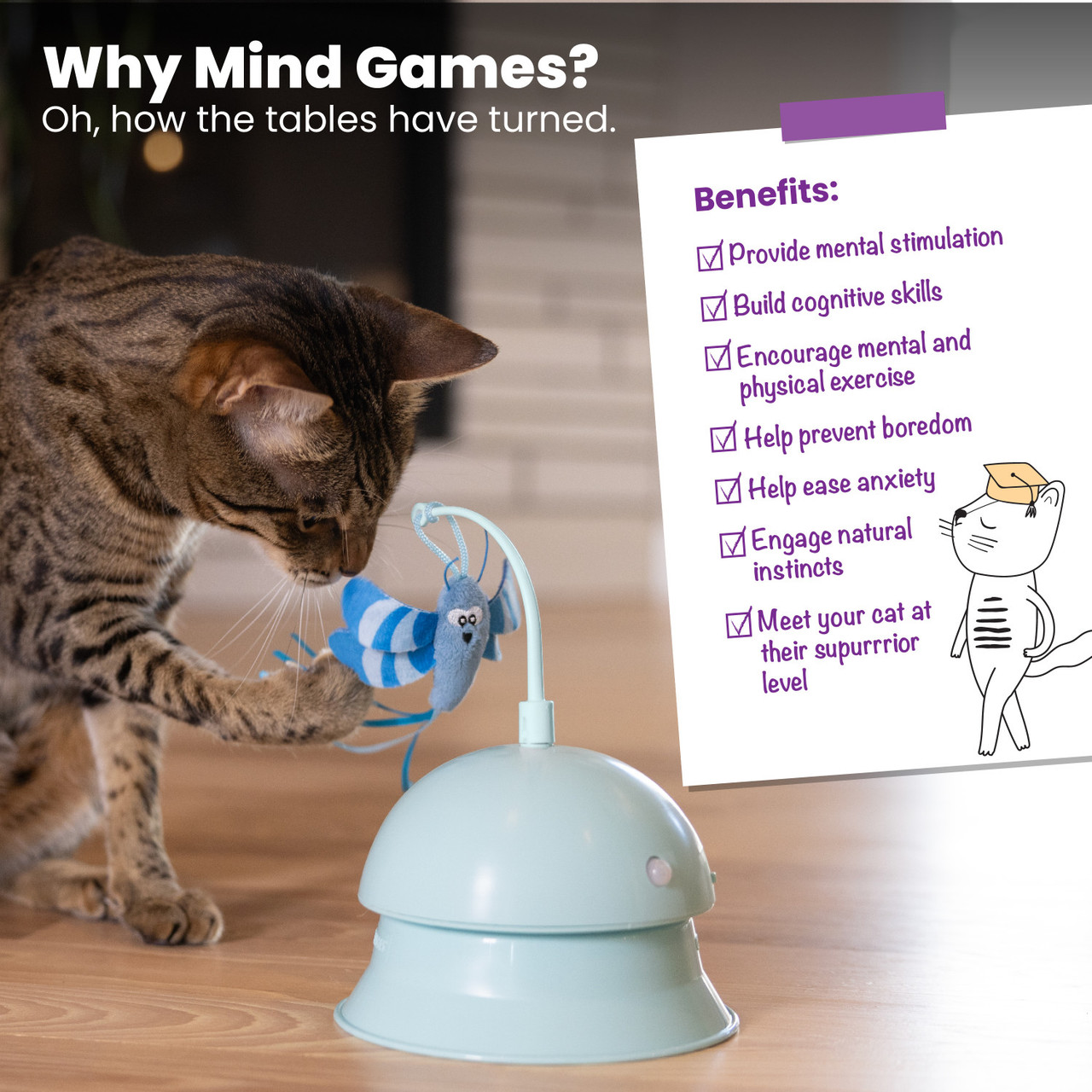 Electronic Flutter Dome Cat Toy and Cat Ball Track Topper, Blue - Image 5