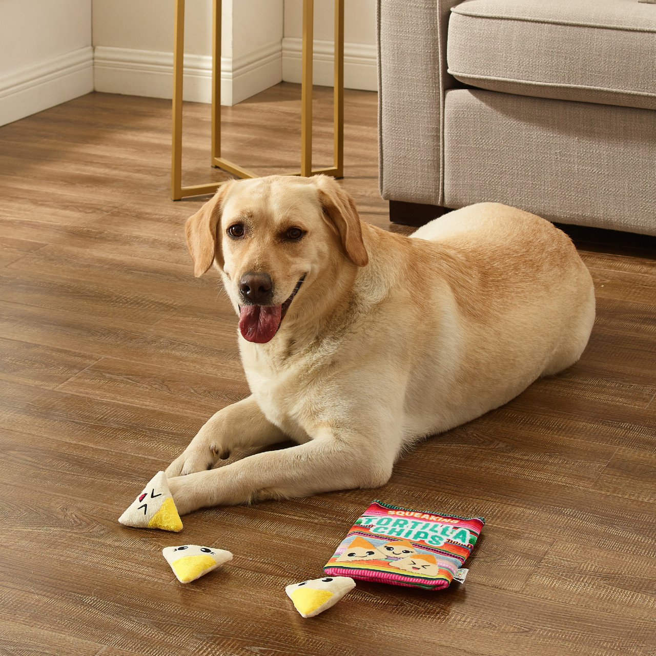 Snack Bag Tortilla Chips Puzzle Dog Toy, Multi - Image 5