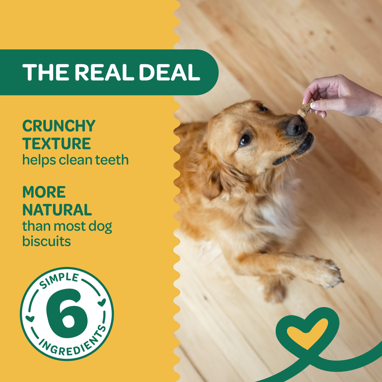 Wholesome Pride Nature's Biscuits Mini Dog Treats, Pumpkin, 16oz - Image 5
