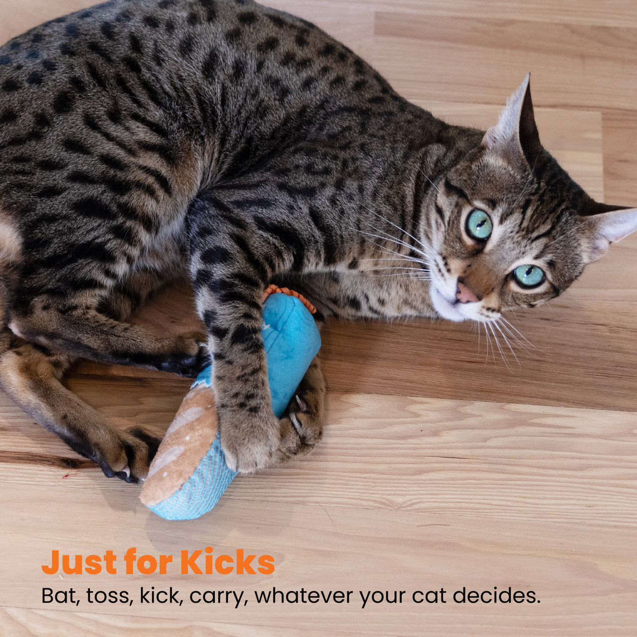 Loaf Kicker Catnip Toy and Dental Toy for Cats - Image 6