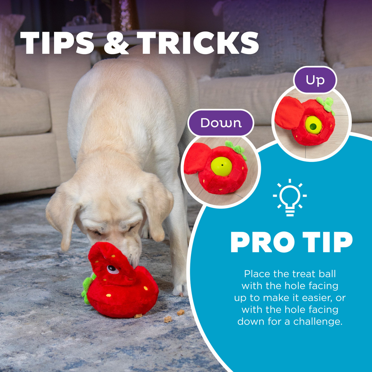 Fruity Findz Interactive Plush Dog Puzzle with Treat Ball, Red - Image 5