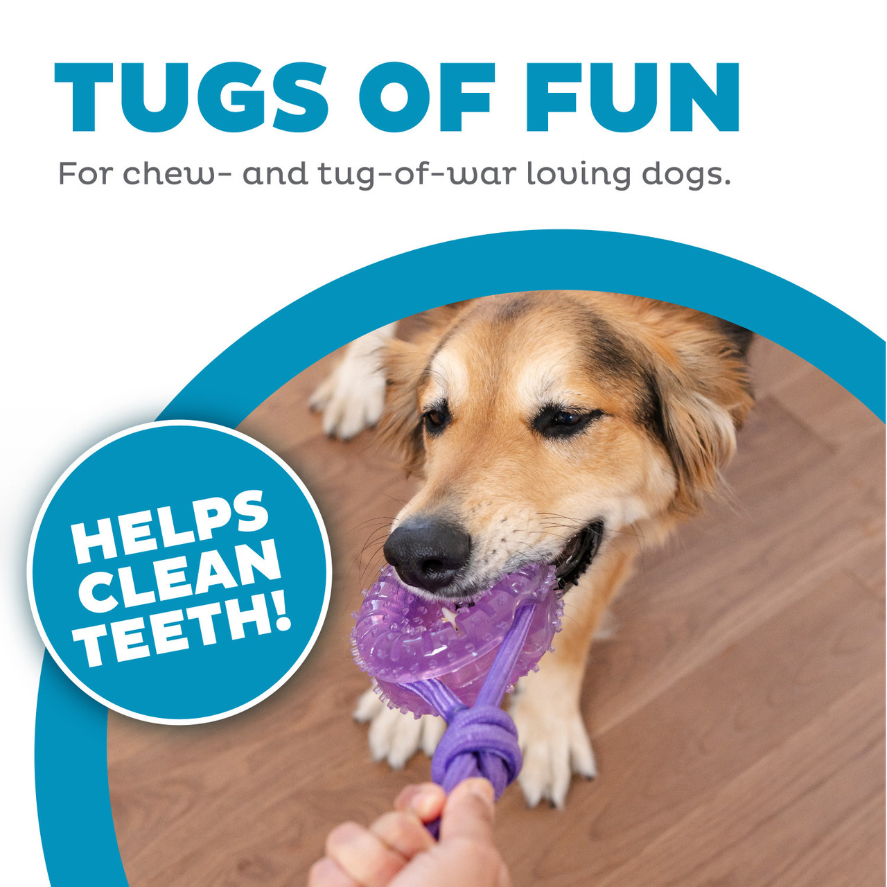 2-in-1 Dental Chew Wheel Dog Chew Toy and Tug Toy, Purple - Image 3