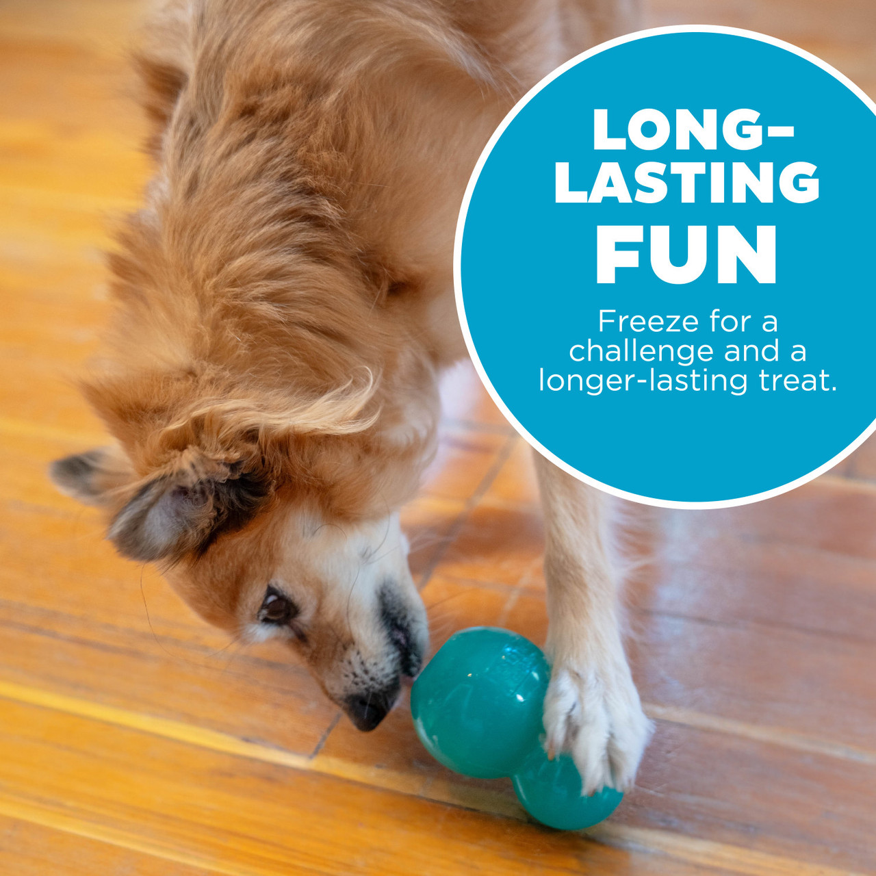 Double-Tuff Interactive Treat Stuffer Durable Dog Chew Toy, Large - Image 11