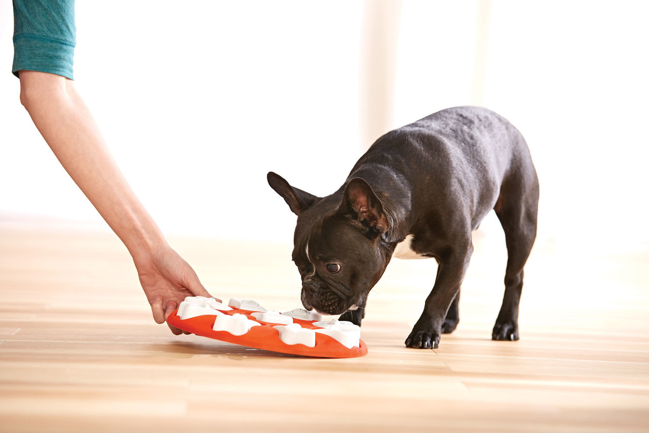 Dog Smart Interactive Treat Puzzle Dog Toy, Orange - Image 8